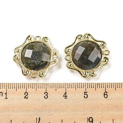Natural Labradorite Faceted Connector Charms G-M431-09G-02-1