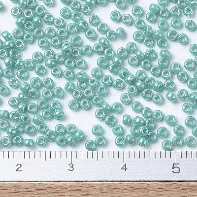 MIYUKI Round Rocailles Beads SEED-G007-RR0481-1
