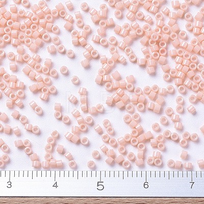 MIYUKI Delica Beads SEED-J020-DB0206-1