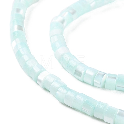 Natural Trochus Shell Dyed Beads Strands BSHE-E030-10B-1
