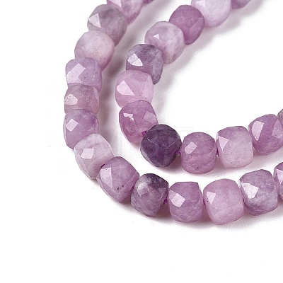 Natural Lepidolite/Purple Mica Stone Beads Strands G-N342-139-1