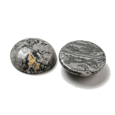 Natural Map Stone Cabochons G-C115-02A-20-1