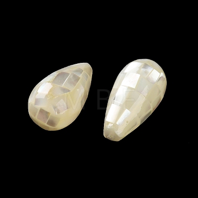 Natural White Shell Beads SSHEL-B002-10B-04-1