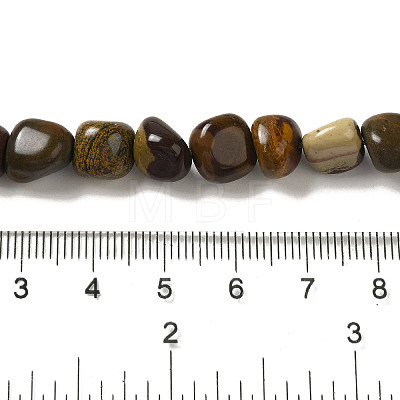 Natural Petrified Wood Beads Strands G-B078-D18-01-1