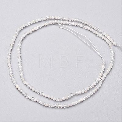 Natural Rainbow Moonstone Bead Strands G-P213-21-3mm-1