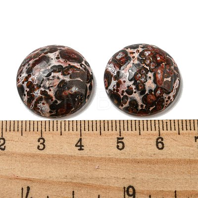 Natural Leopard Skin Jasper Cabochons G-C115-02A-44-1