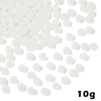 10G Glass Seed Beads SEED-YW0003-03I-1