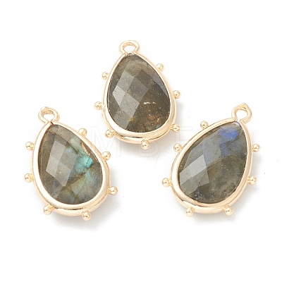 Natural Labradorite Pendants G-B009-02G-G-1