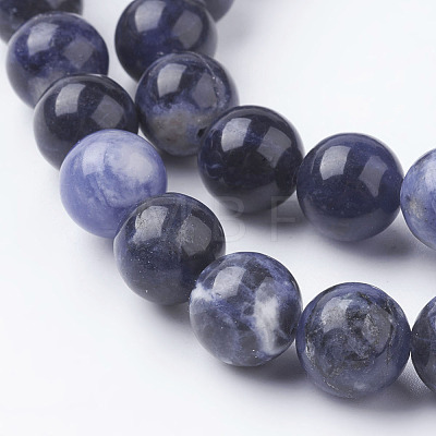 Natural Sodalite Beads Strands G-E110-10mm-3-1
