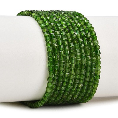 Natural Green Diopside Beads Strands G-B175-C01-2x2mm-1