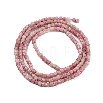 Natural Rhodonite Beads Strands G-H042-B43-01-1