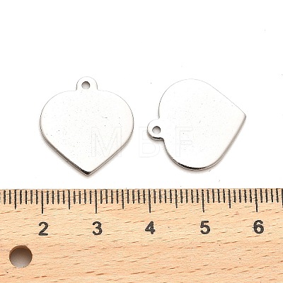 Non-Tarnish Stainless Steel Pendants STAS-L276-01P-06-1