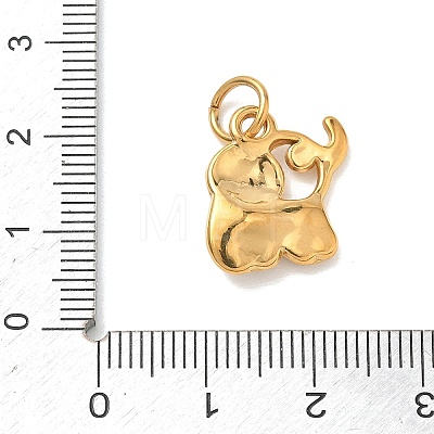 304 Stainless Steel Pendants STAS-C180-03G-1
