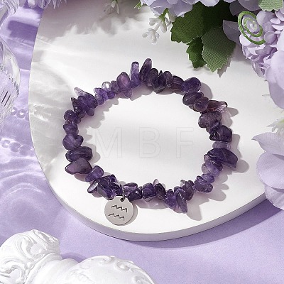 Natural Amethyst Stretch Bracelets BJEW-JB11147-11-1