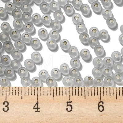 8/0 Glass Seed Beads SEED-Z001-C-E13-1