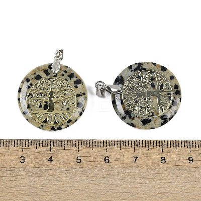 Natural Dalmatian Jasper Flat Round Pendants G-Q188-01P-14-1