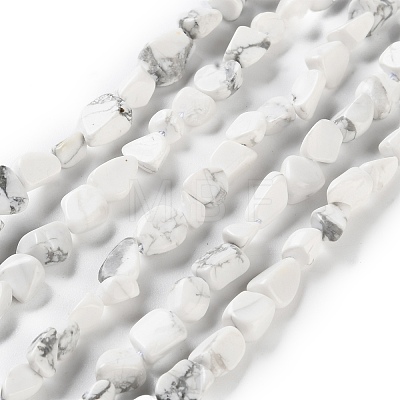 Natural Howlite Beads Strands G-P497-01C-64-1