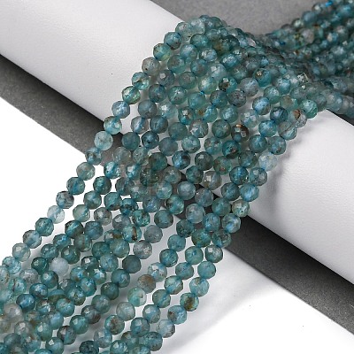 Natural Apatite Beads Strands G-F748-J01-02A-1