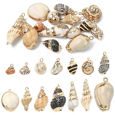 14Pcs 14 Colors Electroplated Natural Mixed Shell Pendants BSHE-YW0001-21-1