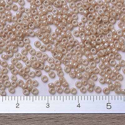 MIYUKI Round Rocailles Beads SEED-G007-RR0593-1