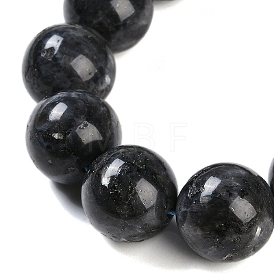 Natural Larvikite Beads Strands G-G118-B02-01-1