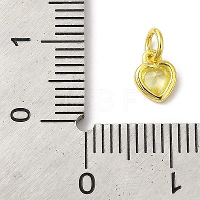 925 Sterling Silver Charms STER-M0120-02C-G-1