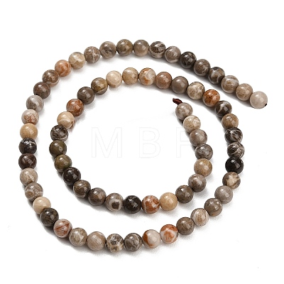 Natural Fossil Coral Beads Strands G-C288-A01-6mm-1
