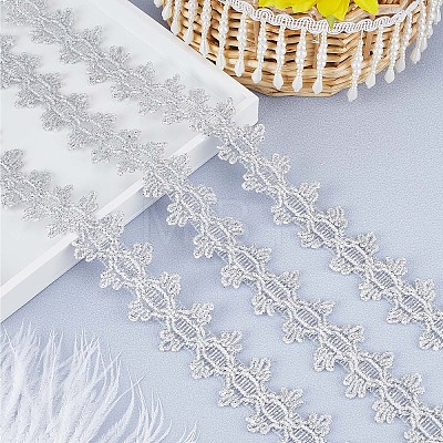 Polyester Lace Ribbons OCOR-WH0082-20B-1