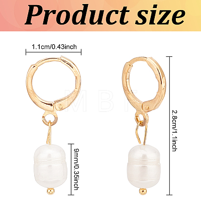 2 Pairs 2 Colors Plastic Imitaion Pearl Beaded Dangle Leverback Earrings EJEW-FI0001-03-1