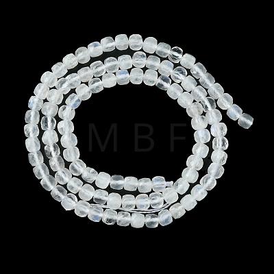 Natural Rainbow Moonstone Beads Strands G-F748-Z01-02-1