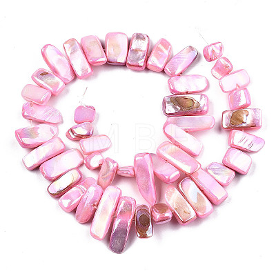 Natural Freshwater Shell Beads Strands X-SHEL-N026-123B-1