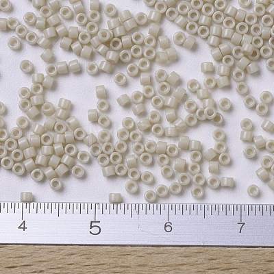 MIYUKI Delica Beads Small SEED-X0054-DBS0261-1