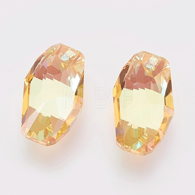 K9 Glass Rhinestone Pendants GLAA-K034-C07-A-1