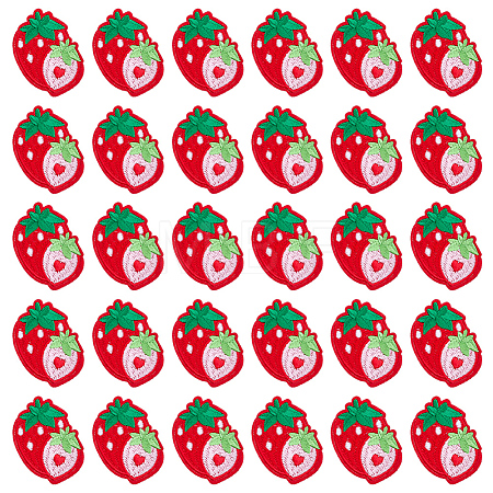 30Pcs Strawberry Computerized Embroidery Cloth Iron on/Sew on Patches PATC-FG0003-73A-1