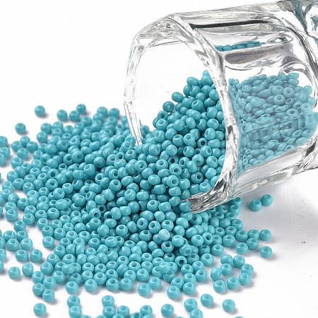 11/0 FGB Grade A Baking Paint Glass Seed Beads X-SEED-N001-A-1016-1