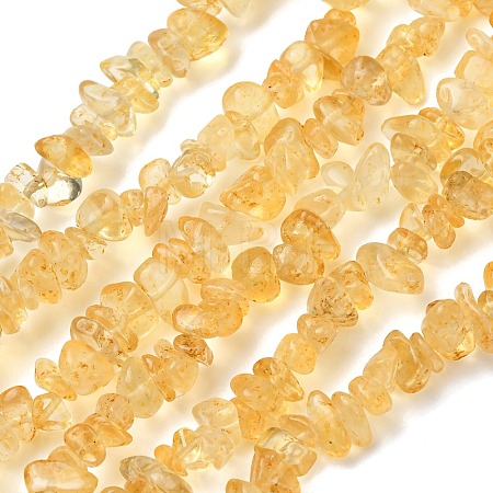 Chip Natural Citrine Beads Strands G-N0134-21-1