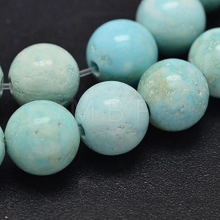 Natural Howlite Beads Strands TURQ-P027-17-8mm-1
