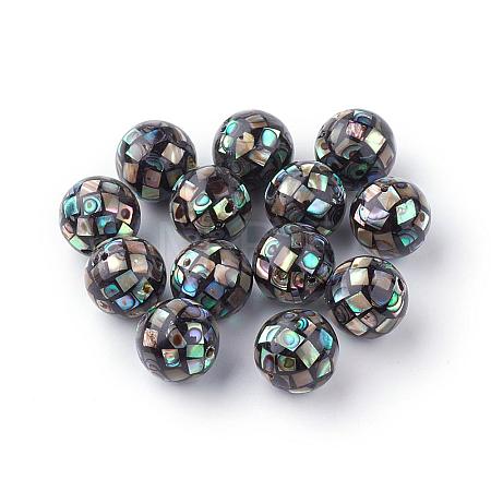 Natural Paua Shell Beads SSHEL-Q298-16mm-09-1