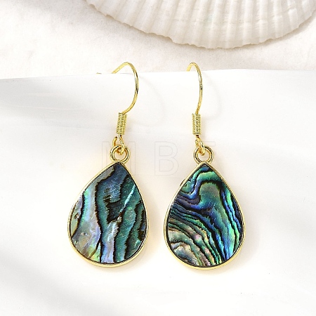 Brass Natural Paua Shell Dangle Earrings EJEW-M060-19B-G-1