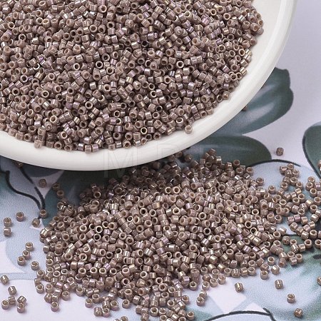 MIYUKI Delica Beads X-SEED-J020-DB2271-1