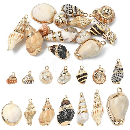 14Pcs 14 Colors Electroplated Natural Mixed Shell Pendants BSHE-YW0001-21-1