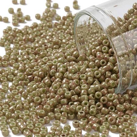 TOHO Round Seed Beads SEED-XTR11-1209-1