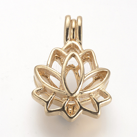Alloy Diffuser Locket Pendants PALLOY-S062-40G-1