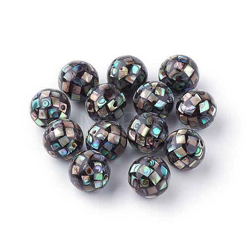 Natural Paua Shell Beads SSHEL-Q298-16mm-09-1