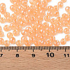 6/0 Imitation Jade Glass Seed Beads X1-SEED-N004-006-24-6