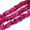 Natural Freshwater Shell Beads Strands SHEL-T020-40A-1