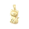 Brass Pendants KK-B187-02A-01G-1