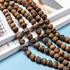 Natural Frosted Tiger Eye Round Bead Strands G-M064-10mm-02-5