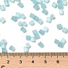 Glass Seed Beads X1-SEED-H002-D-A812-4
