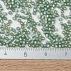 MIYUKI Delica Beads SEED-J020-DB2190-4